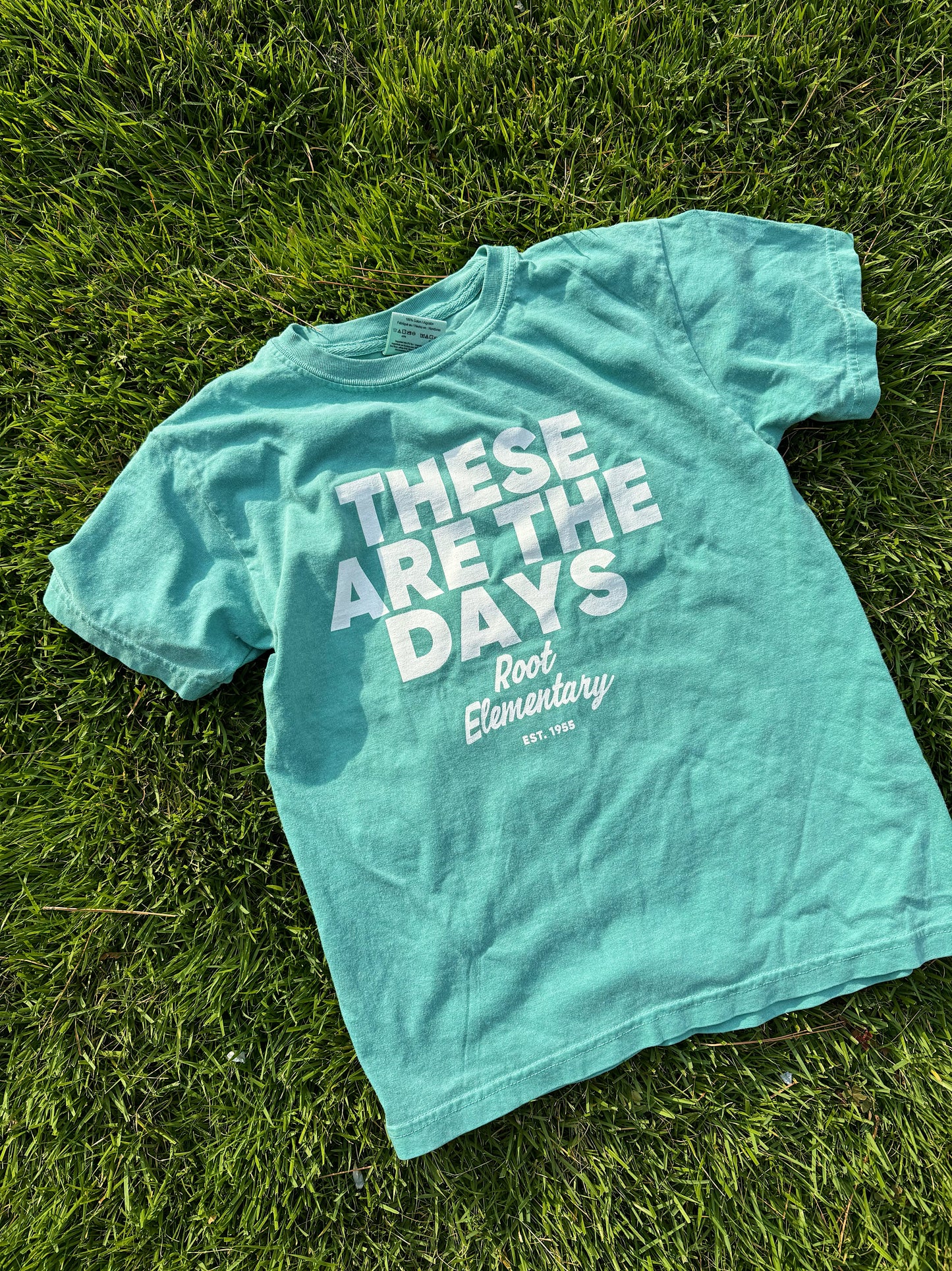 KIDS: These Are The Days Comfort Colors T-shirt